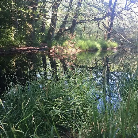 Zakatek Salpia I 86 *