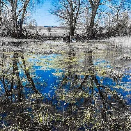 Prázdninový dům Zakatek Salpia I 86 *